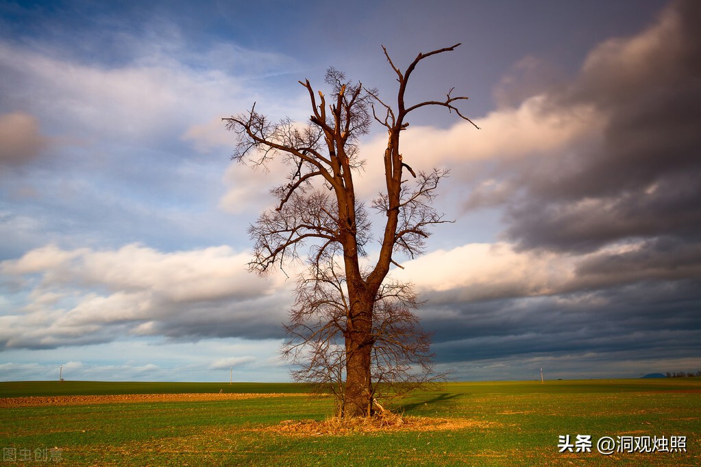 推荐几个好用的手机输入法,手机上的哪种输入法最好用