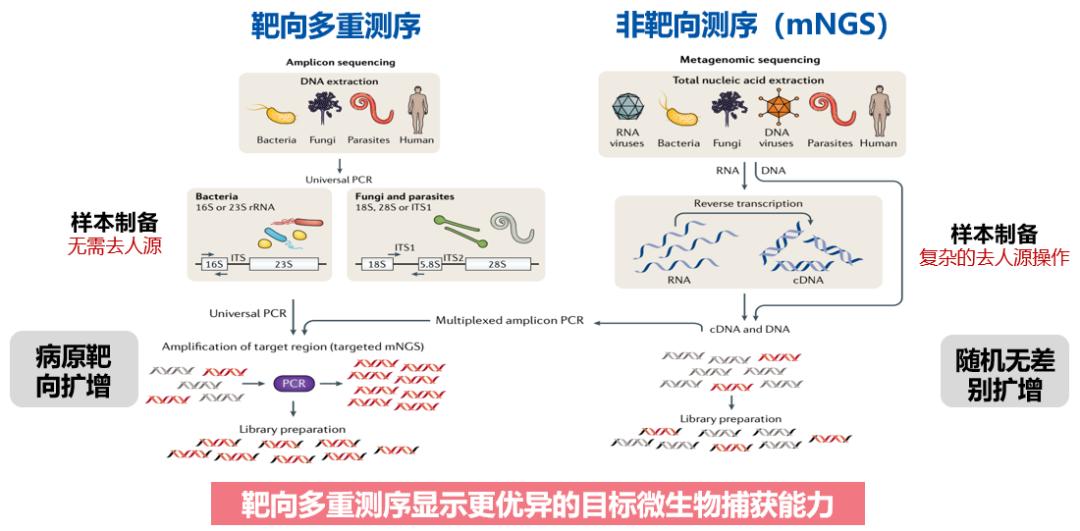 鍛ㄥ崕鍖荤敓瀹屾暣瑙嗛,婀栧寳涓尰鑽ぇ瀛﹀壇鏁欐巿鍛ㄥ崕