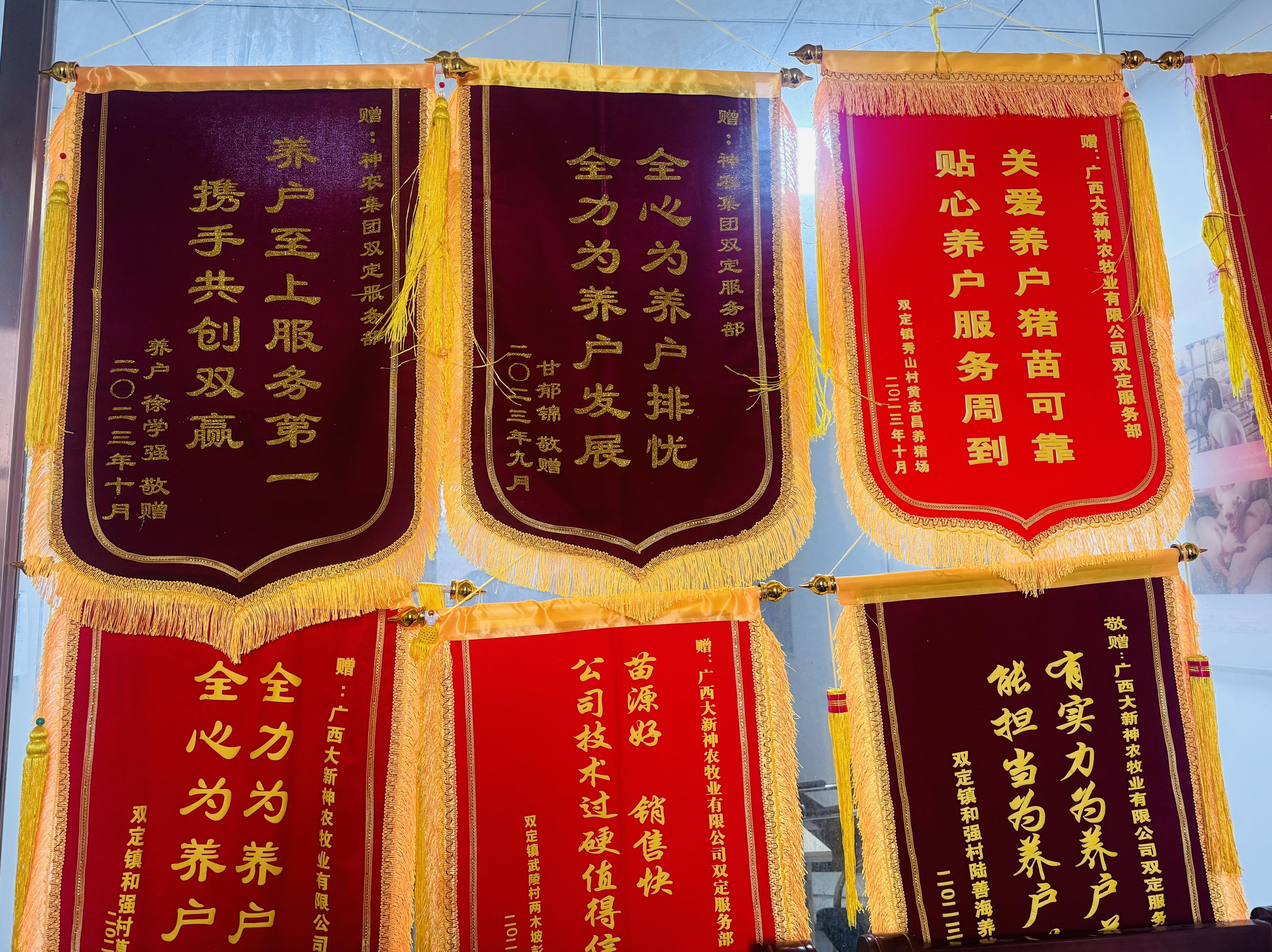 公司农户养猪模式爆发,养猪场新模式智慧农业