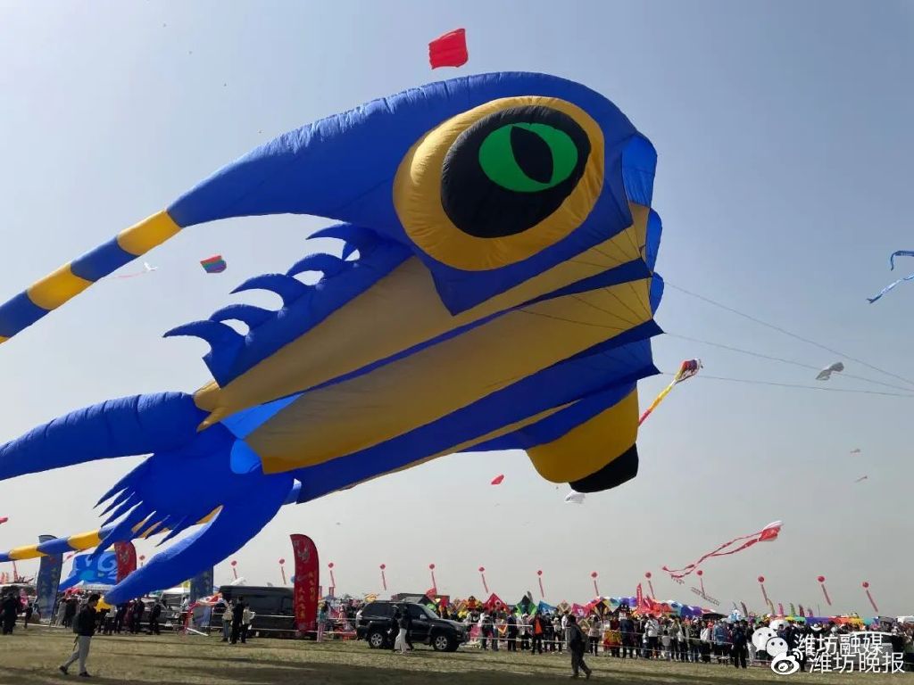 潍坊风筝会大咖云集开幕,潍坊风筝会开幕晚会