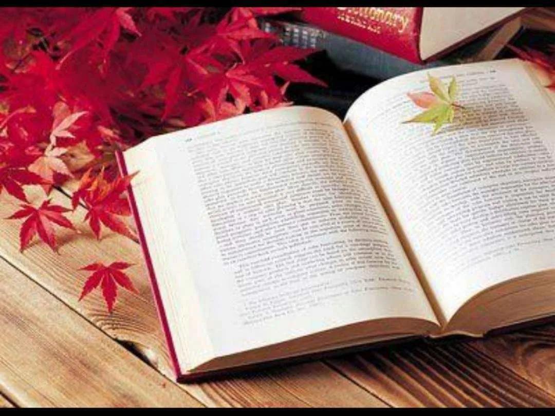 读书是改变命运的最好捷径——爱满家书（433）