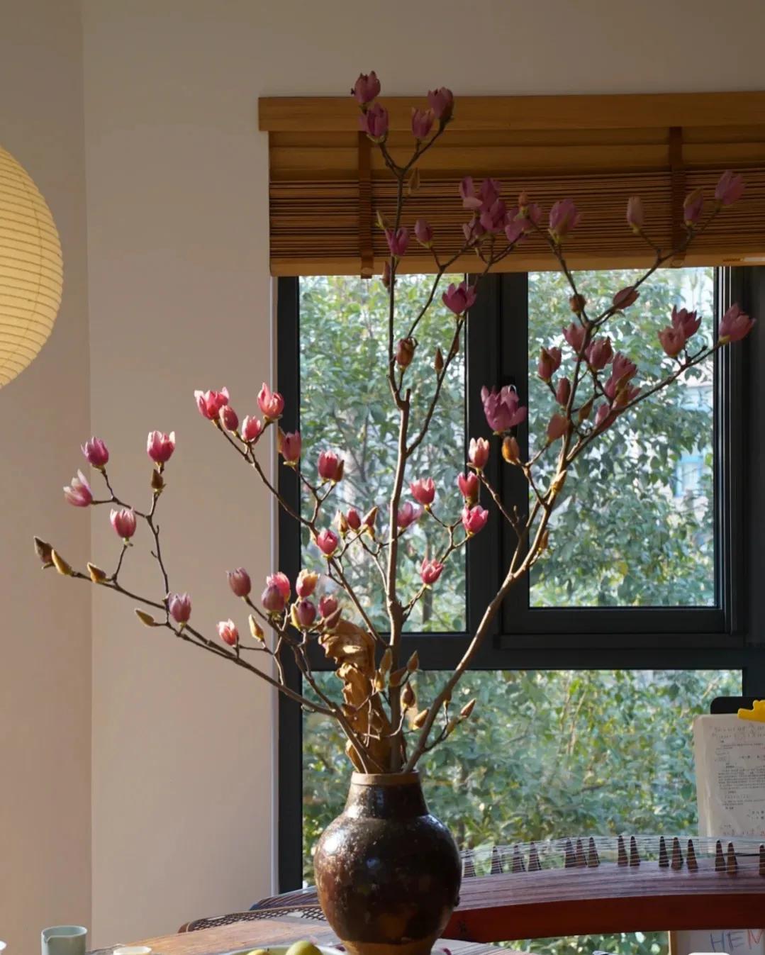 江苏发现一户人家太会装修而走红,安徽房屋室内装修隔断效果图