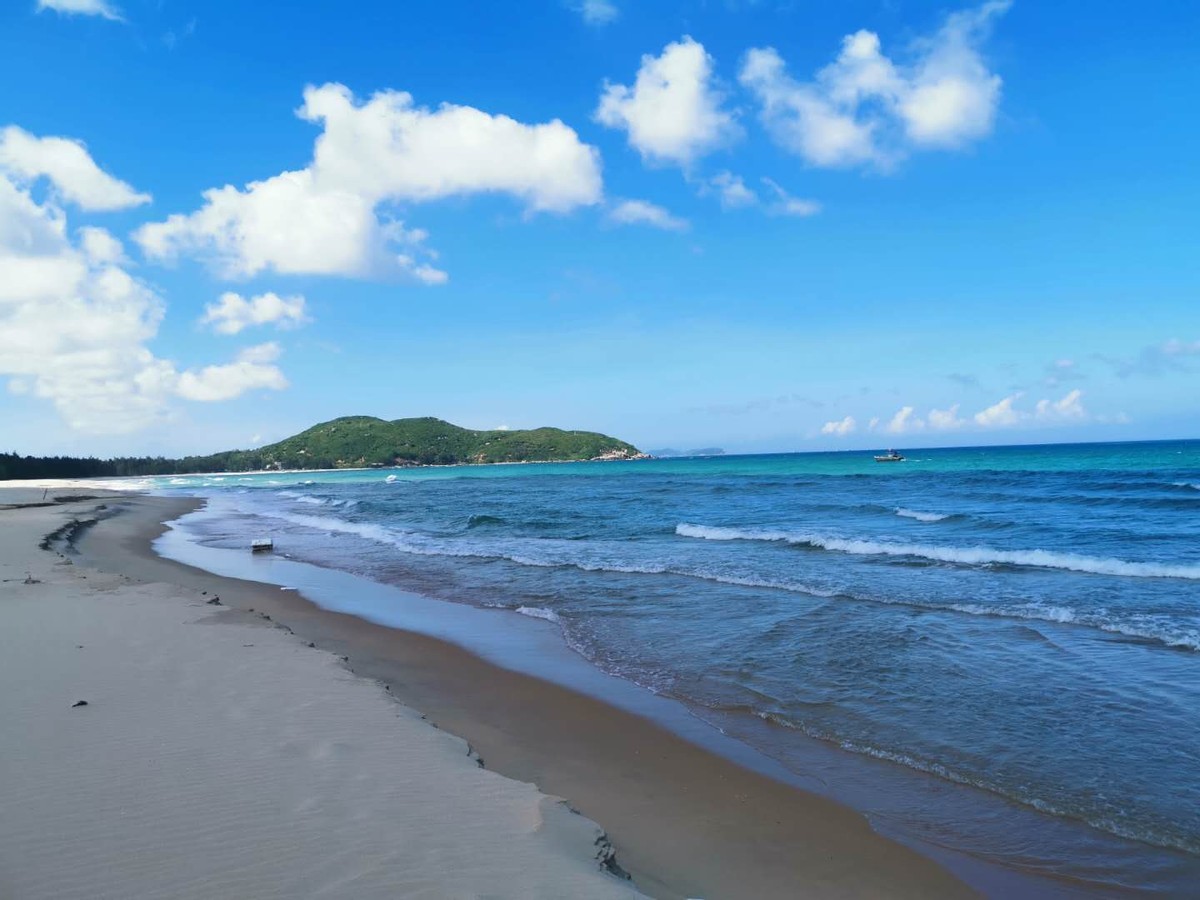 谁说海南无好酒？这4大“便宜”酒正中下怀，内行人整箱往家搬