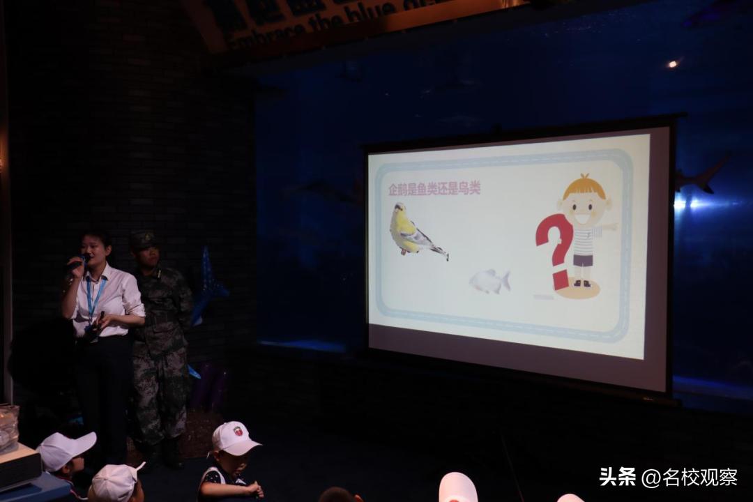 蔚蓝做苍穹，鱼儿变繁星！新川学子，走进浩海立方，探秘无限海洋