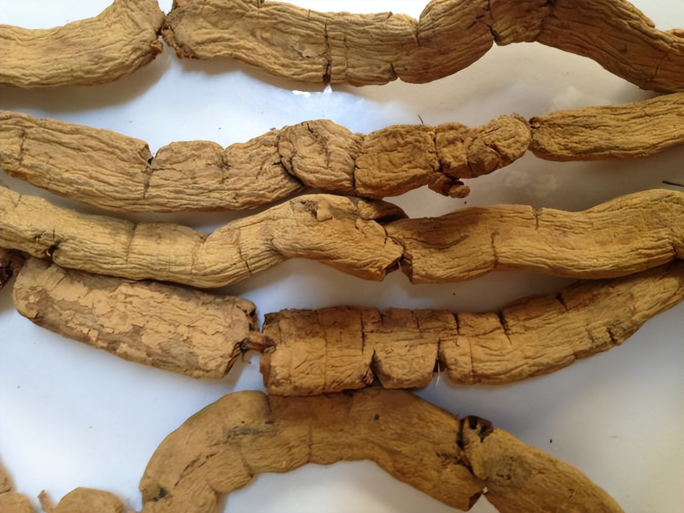 骨康胶囊治阴虚还是阳虚,骨康胶囊对骨质疏松有用吗