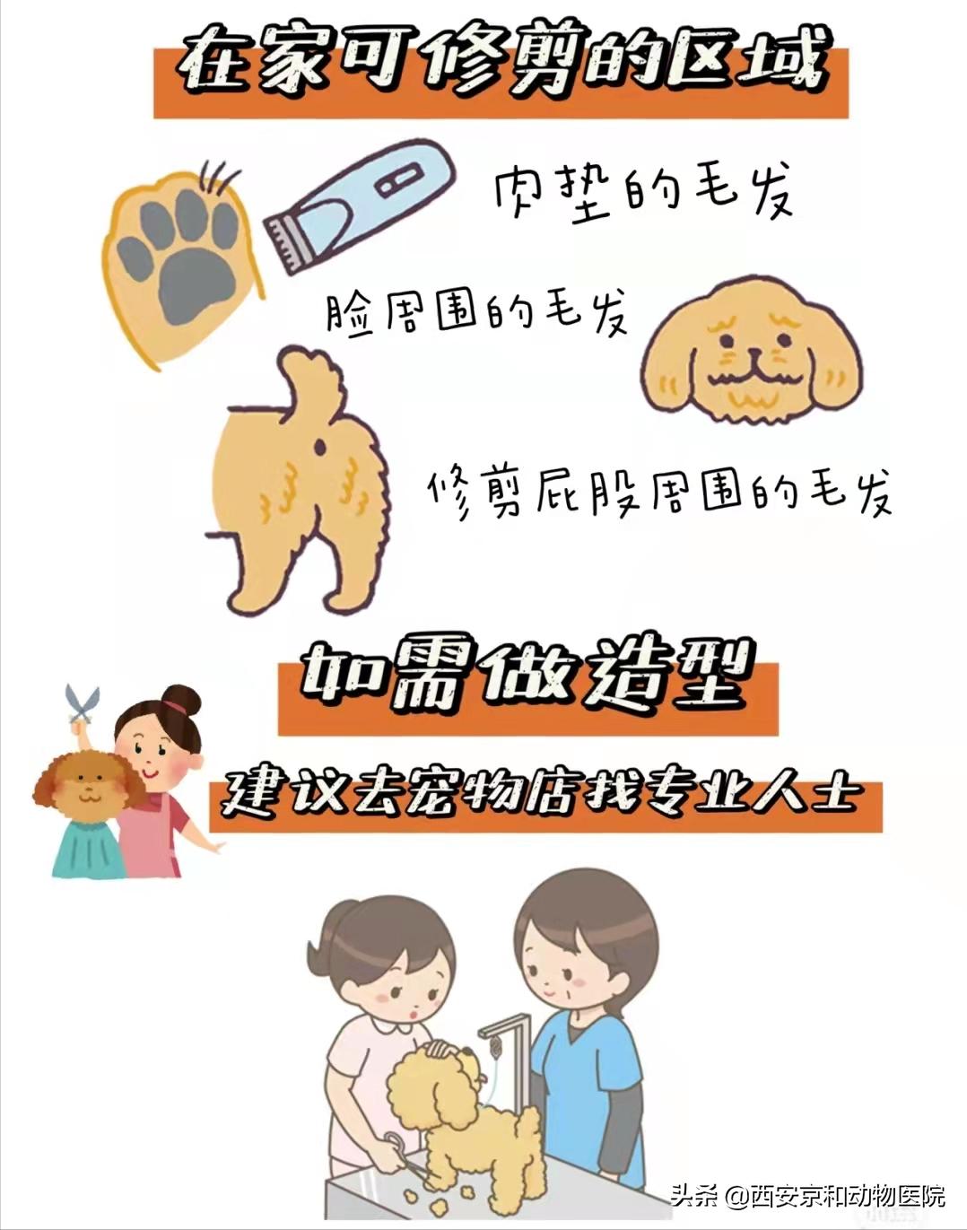 狗狗洗澡流程家庭版,狗狗洗澡全过程宠物店