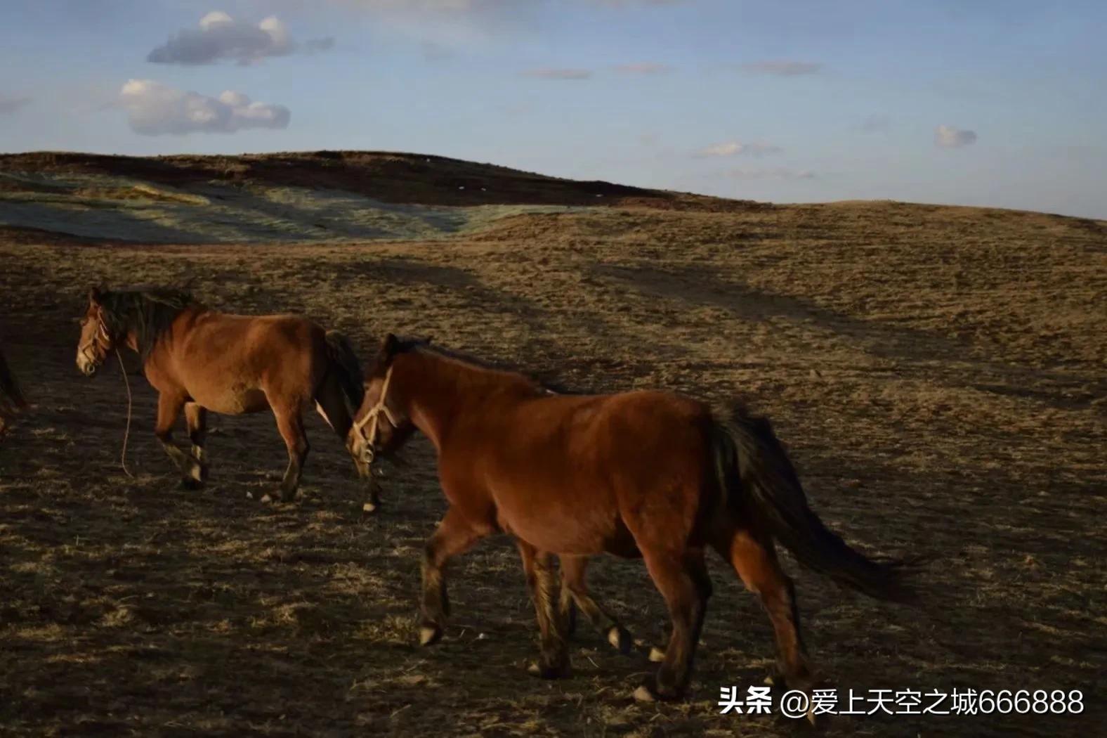 我们在云南全集,云南昭通大山包旅游攻略