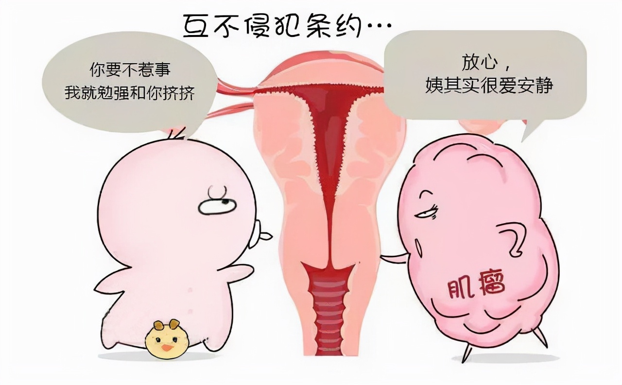 子宫肌瘤的中医治疗方法有哪些,中医治疗子宫肌瘤最好的治疗方法