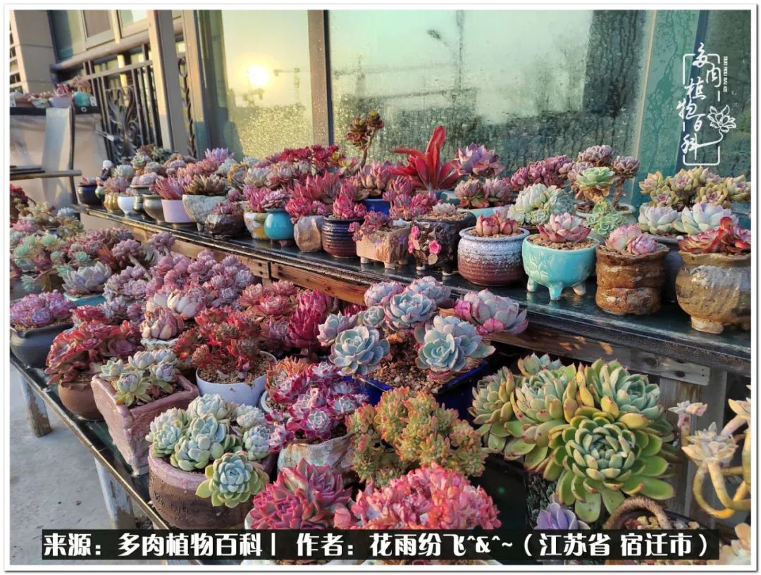 回味童年无忧无虑的快乐时光,童年最快乐的时光