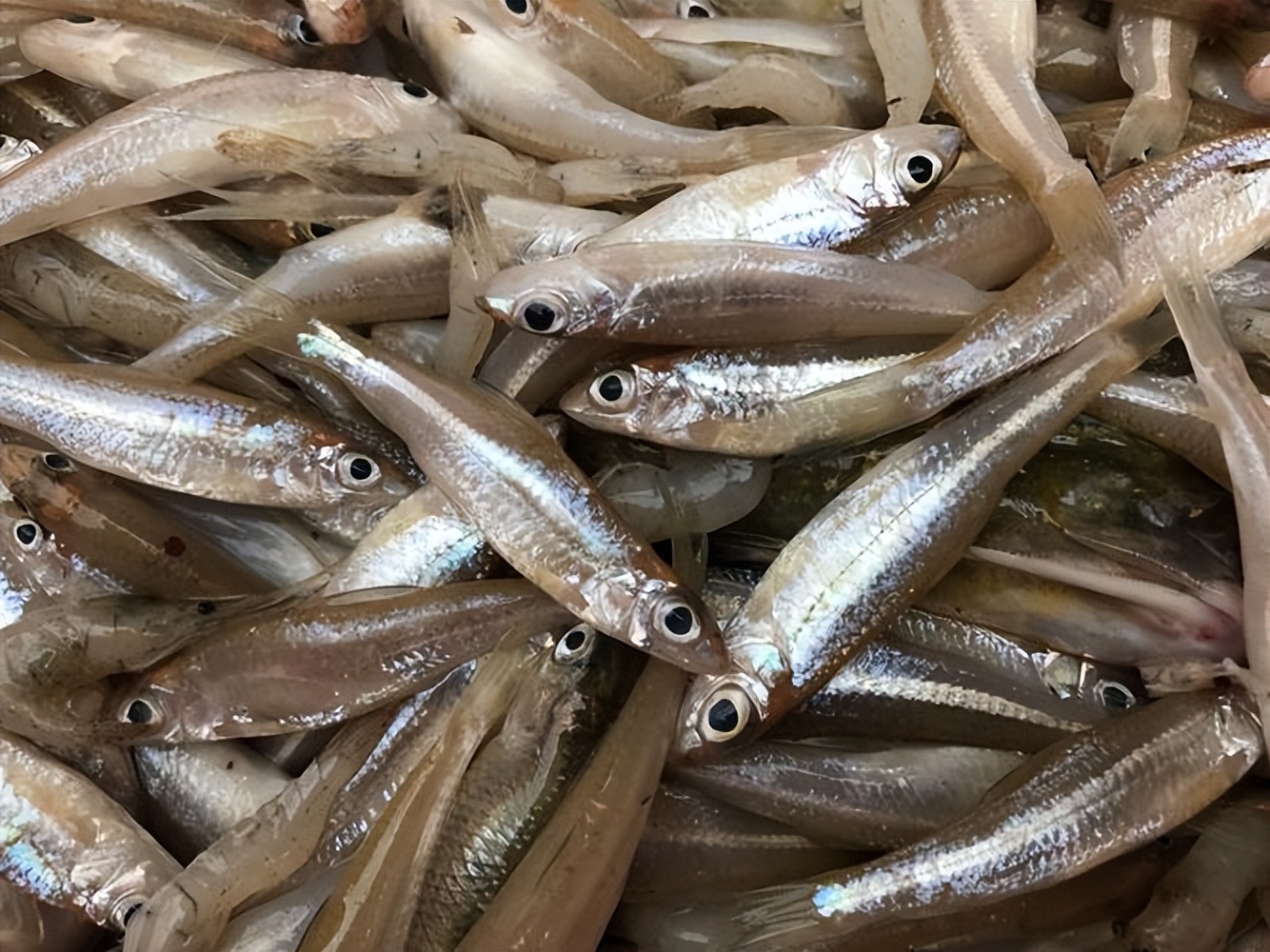 为什么痛风患者应坚决戒烟,为什么痛风这么可怕