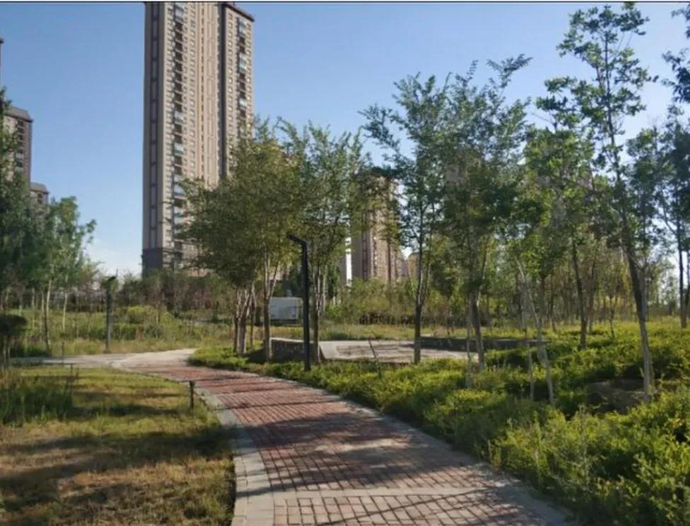 乌鲁木齐2020年十大公园,乌鲁木齐公园数量