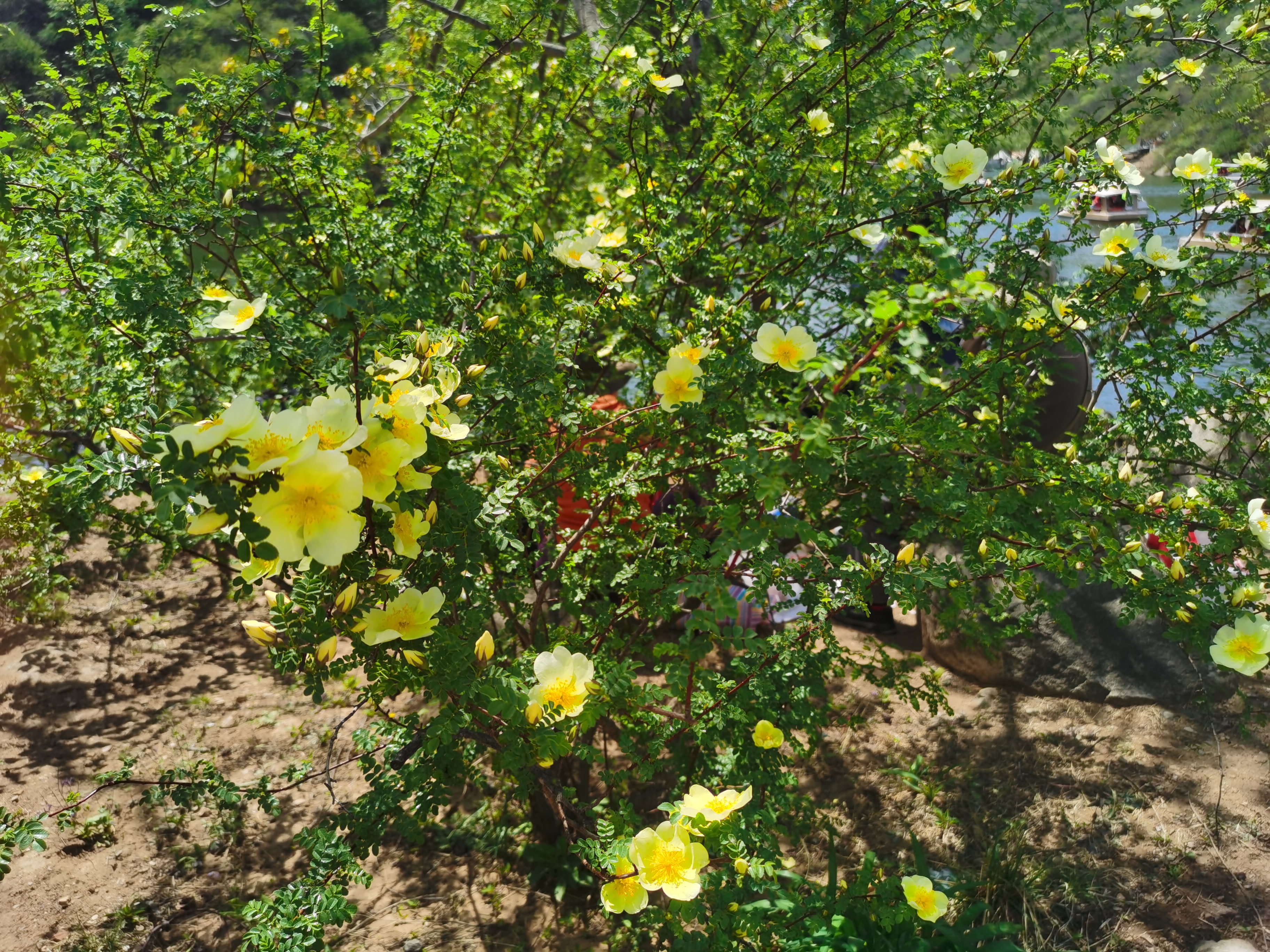 黄花城水长城旅游攻略,行走万里长城之旅