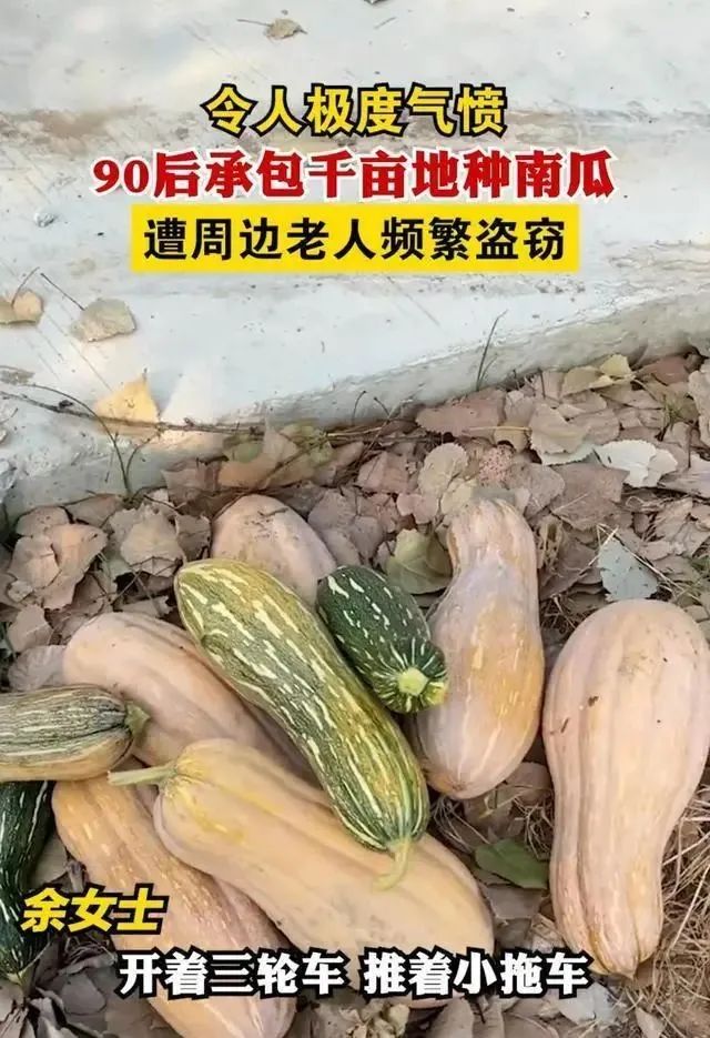 上海的房子为什么顶楼最贵,上海的房子怎么那么贵段子