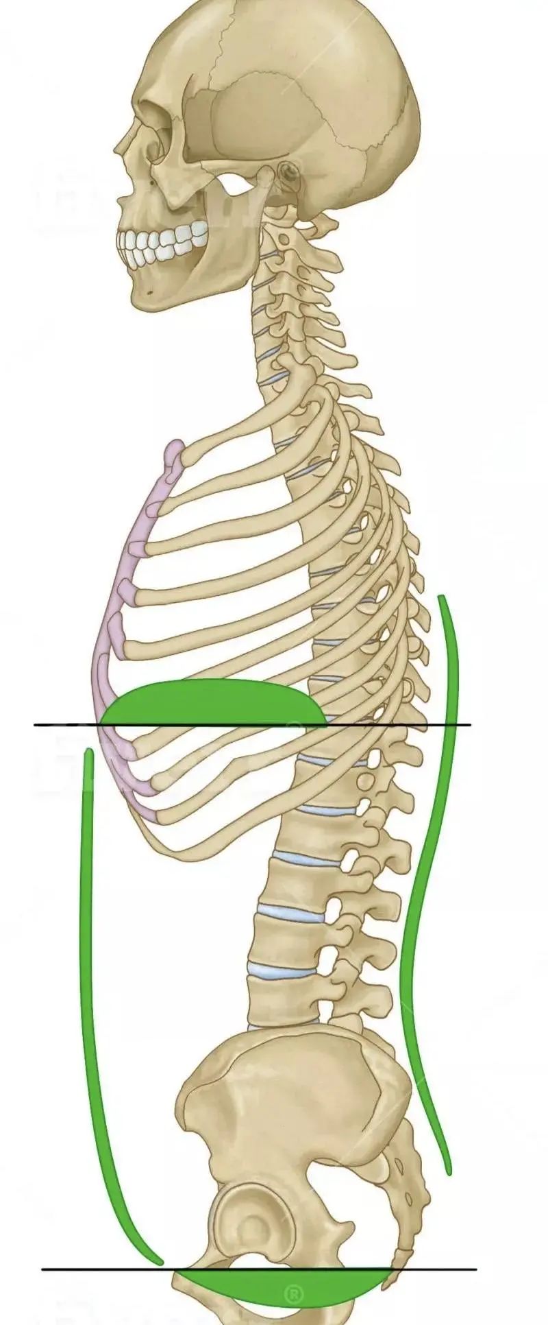 解剖列车教程完整版,解剖列车视频讲解