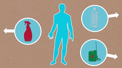 全球干细胞最新临床进展,干细胞治疗的发展历程知多少