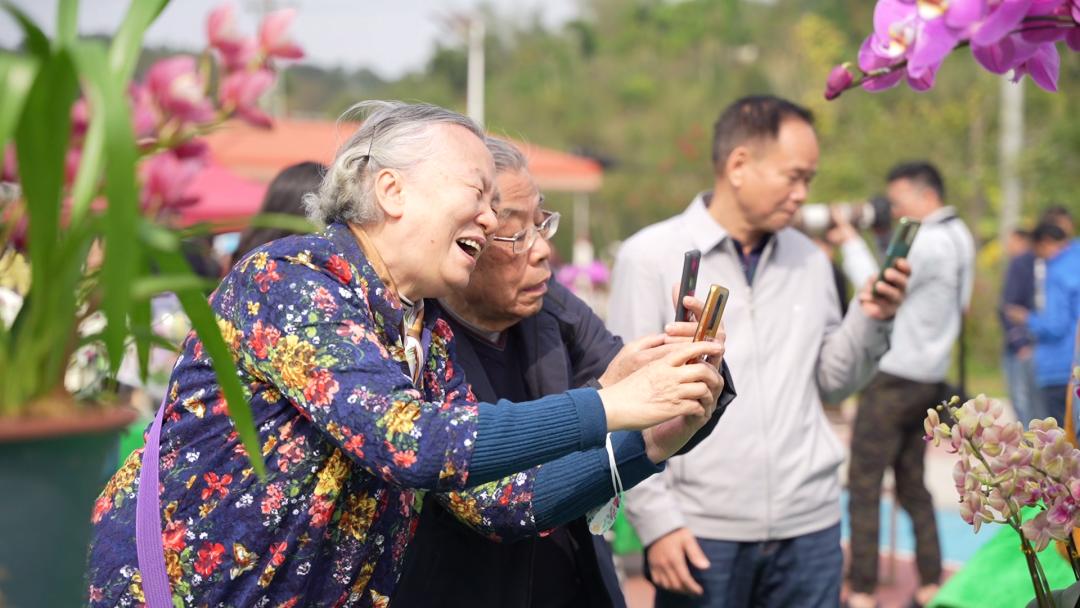 四会石狗镇兰花展今年什么时间,石狗镇程村兰花展馆