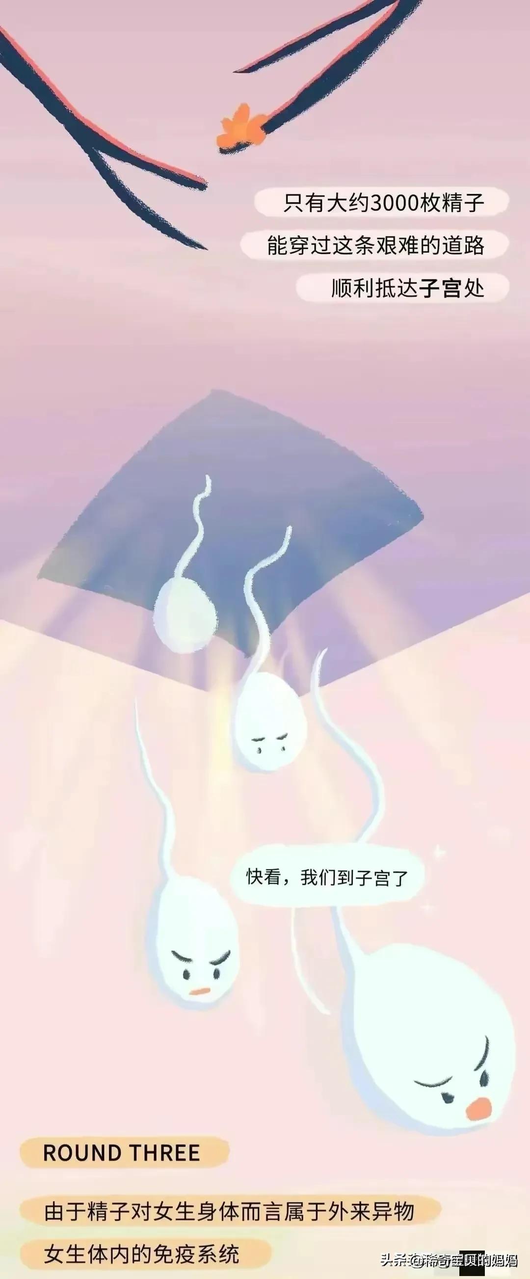 绮惧瓙杩涘叆浜轰綋12灏忔椂鍙樺寲,绮惧瓙杩涘叆浜轰綋24灏忔椂鍙樺寲