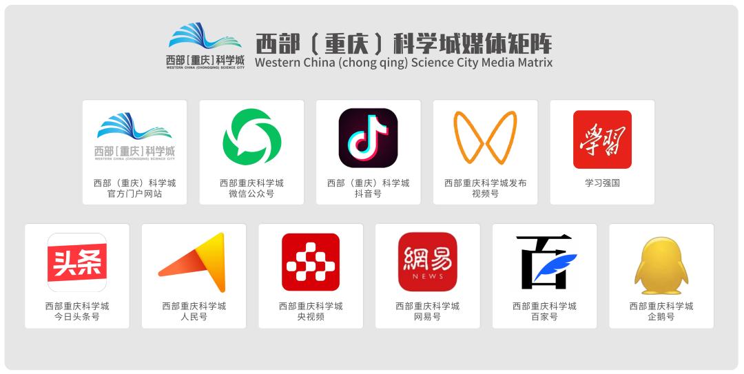 怎么举报公租房出租问题,公租房转租举报会怎么核实
