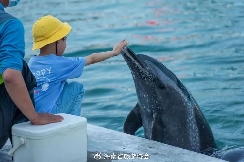 海南分界洲岛旅游区的个人主页,海南省分界洲岛海钓会所