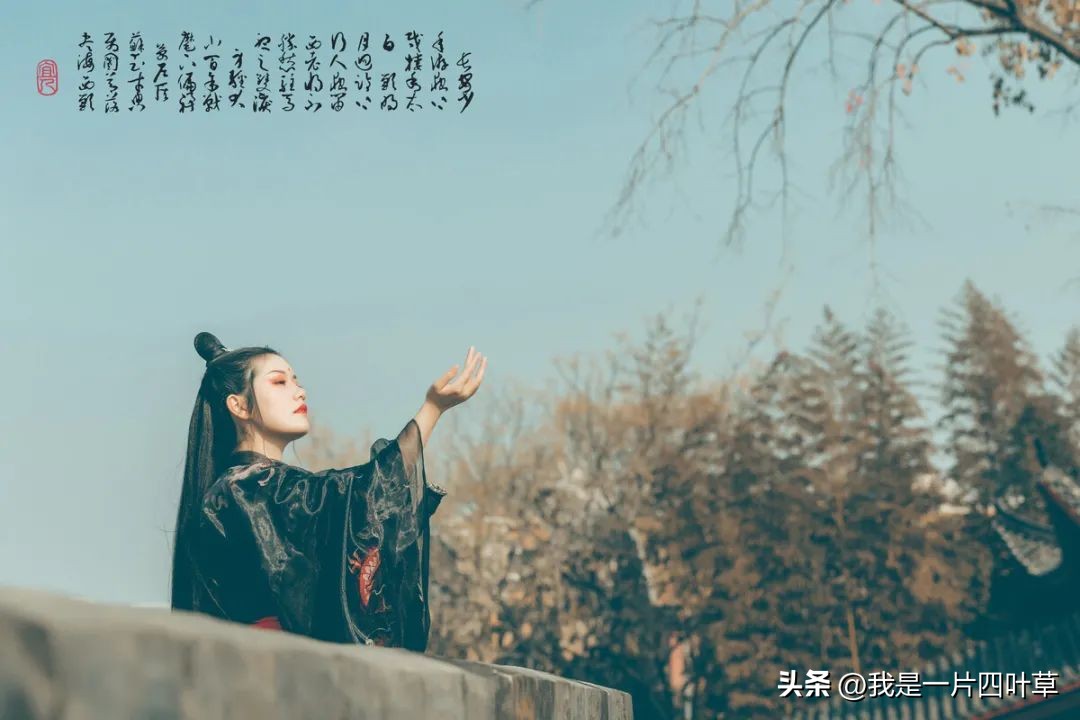 今日八一，以诗为证