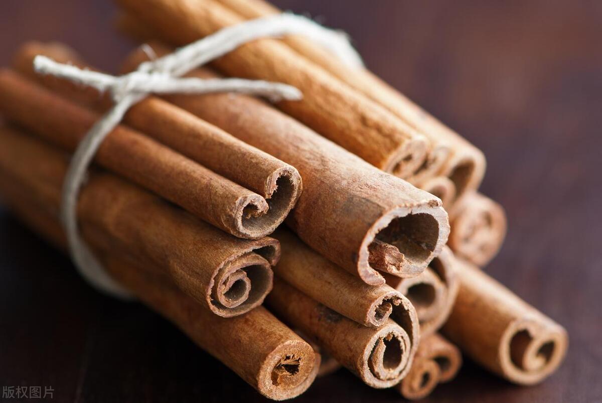 脸上长痘痘是暗示身体哪个器官,面部长痘痘对应五脏六腑图