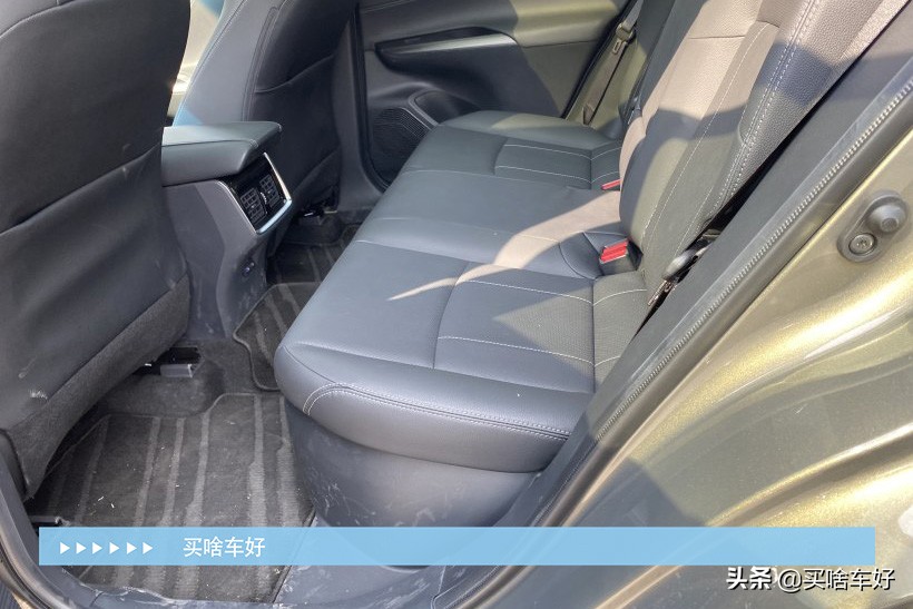 凌放全系用的什么牌子的音响,凌放两驱旗舰的音响效果