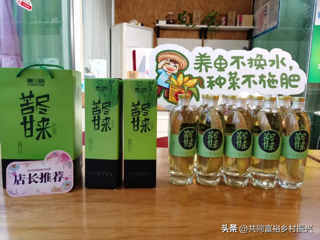 it精英的行业,鱼菜共生盈利商业模式