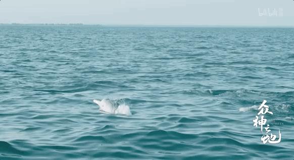 百万粉丝女网红“吃播”后被封杀,网友怒了:别让孩子毁于无知