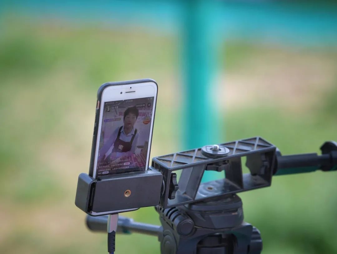 导游转行卖保险年入60万,导游不带团有工资吗