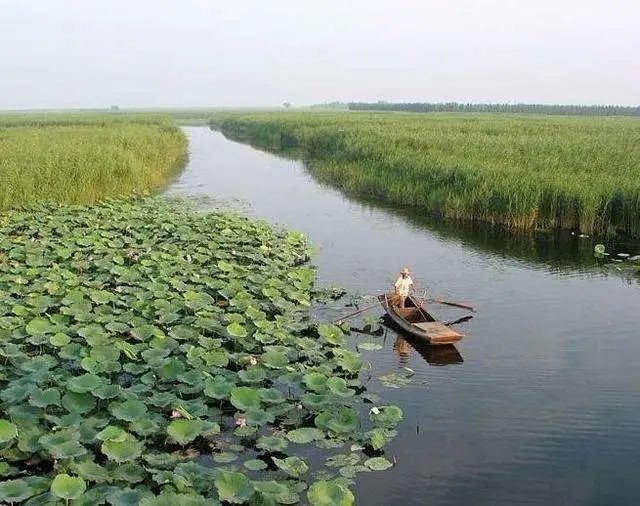 无锡奥密克戎变异毒株,无锡市检出奥密克戎病例