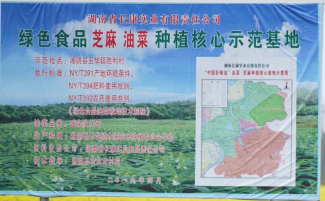 长康绿态清香冷榨菜籽油价格,长康清香冷榨菜籽油4升多少钱