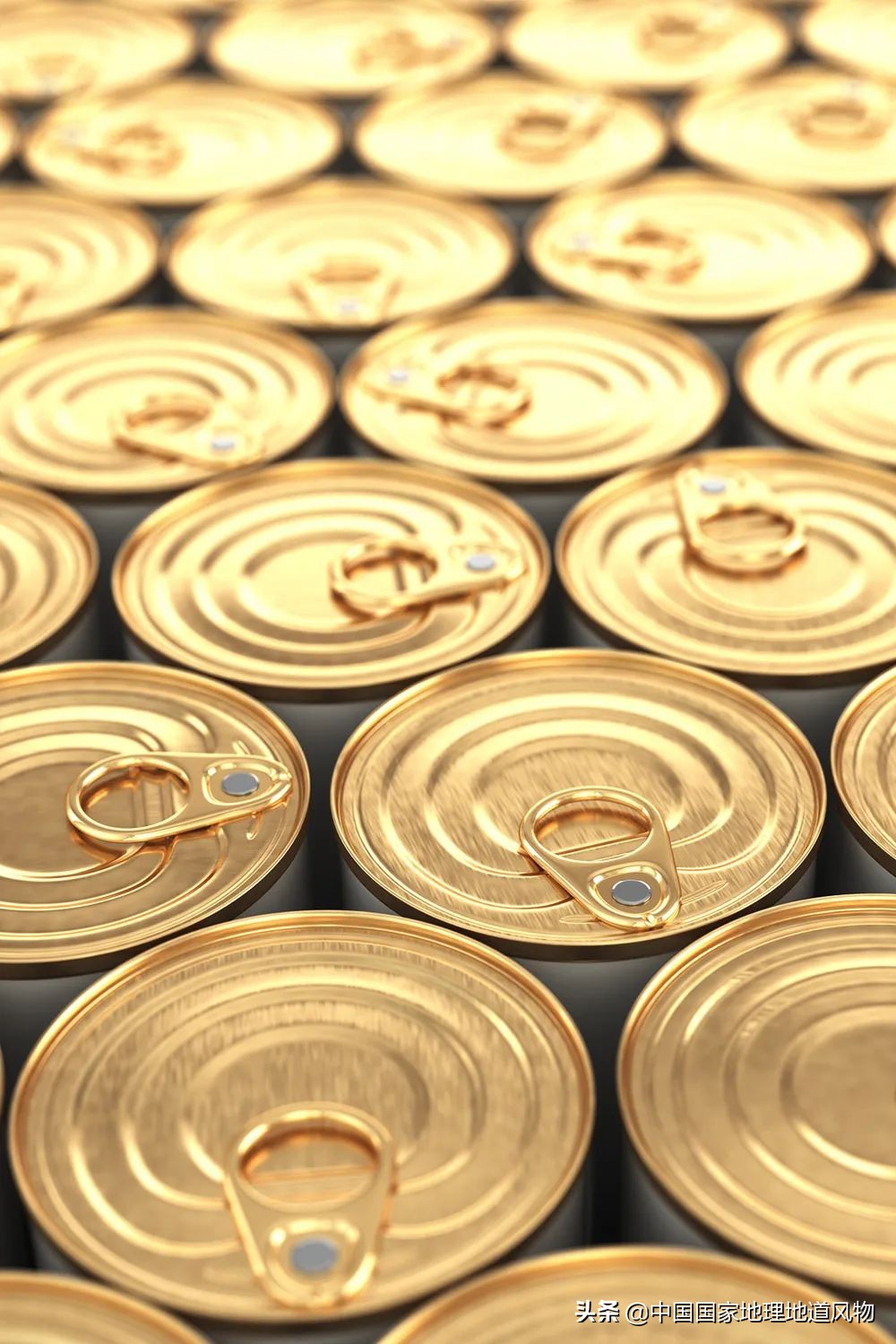 中国的罐头在哪里,中国罐头分布地区