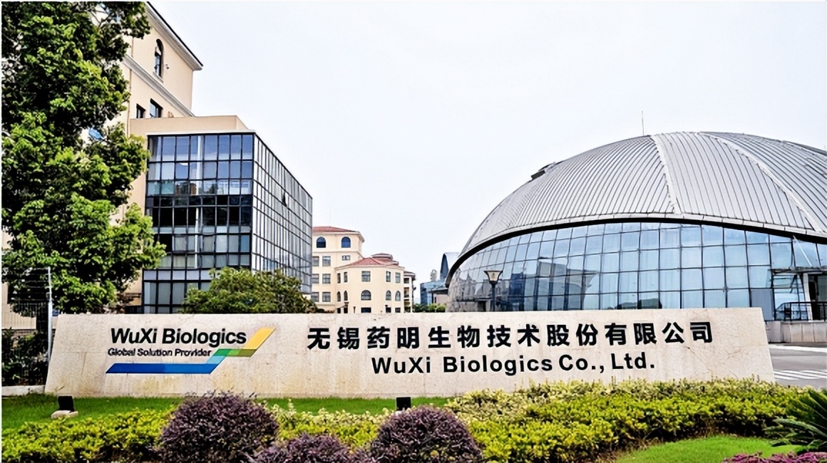 滨湖区上市企业,无锡滨湖区上市公司市值