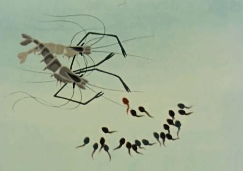 迪士尼服软了,迪士尼在法国初战失利分析