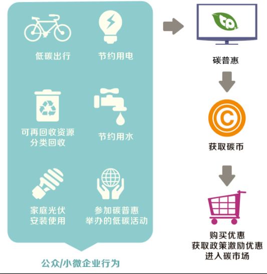广东碳排放解决方案,广东省碳普惠交易管理办法