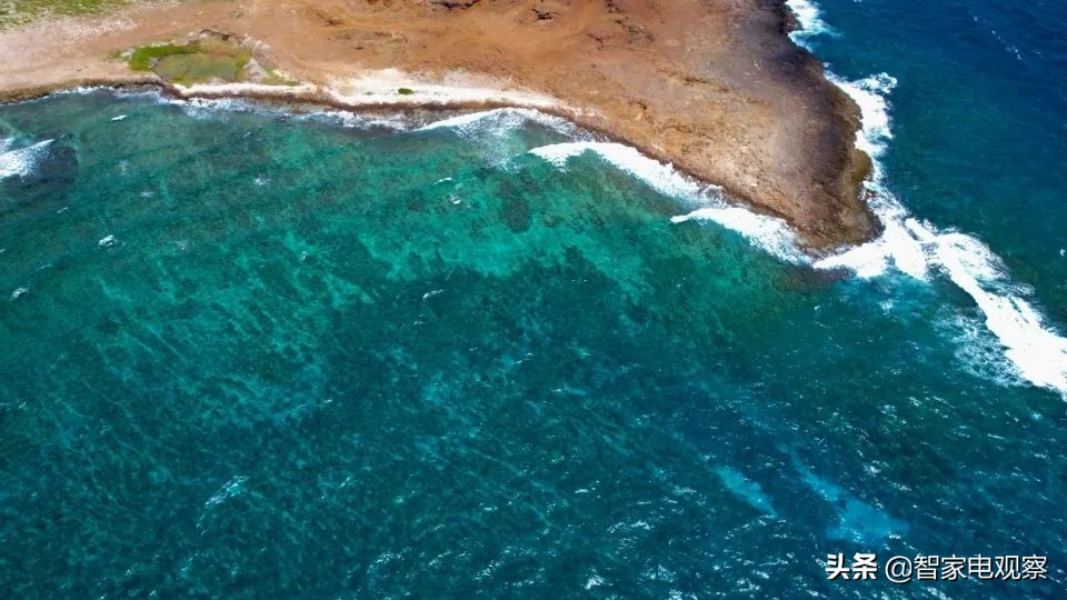 美容仪雅萌真实测评,美容仪雅萌好还是初普好