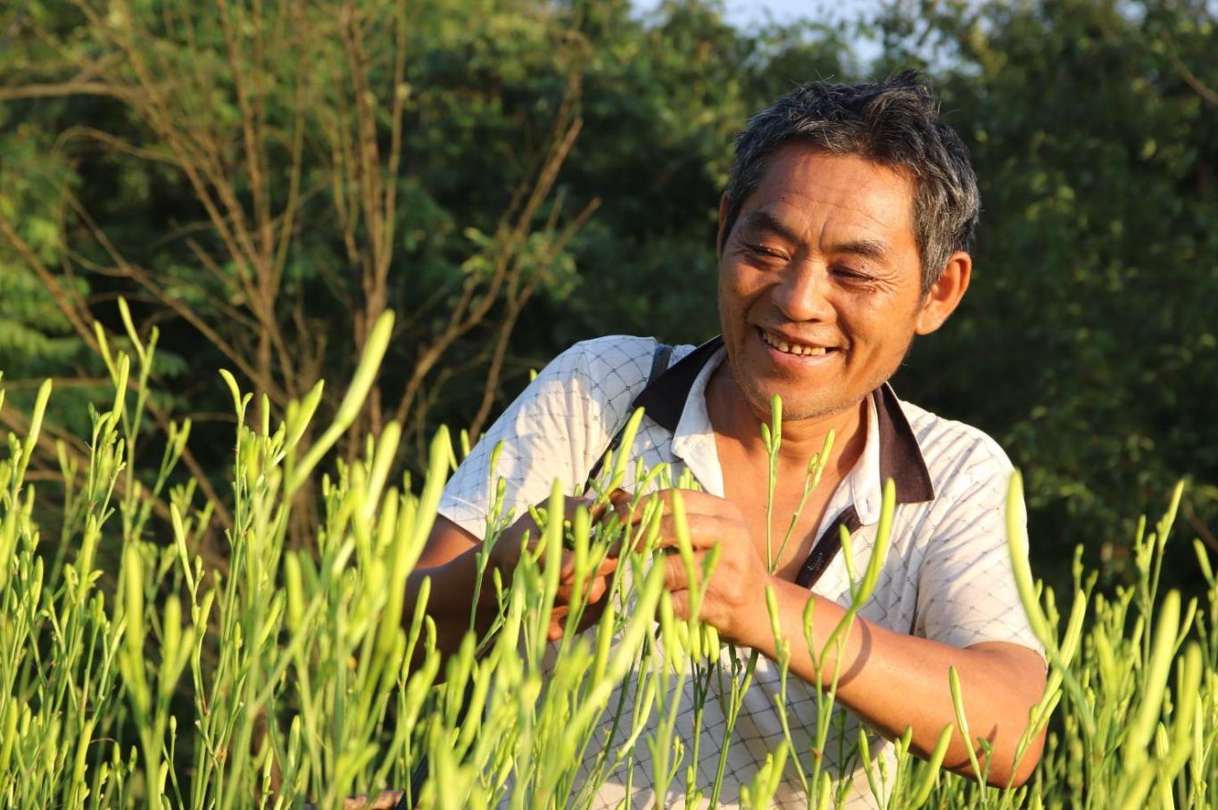 湖南省邵阳市邵东县黄金村,永华村风光
