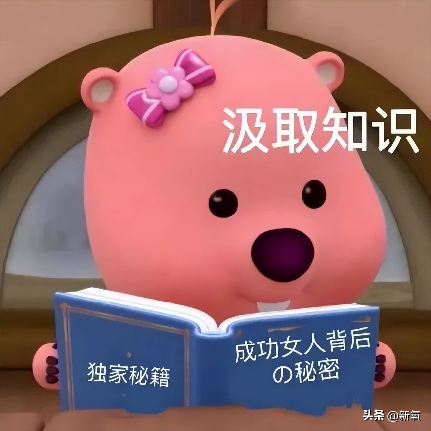 爬楼梯和跑步机哪个效果好,爬楼梯和跑步哪个好