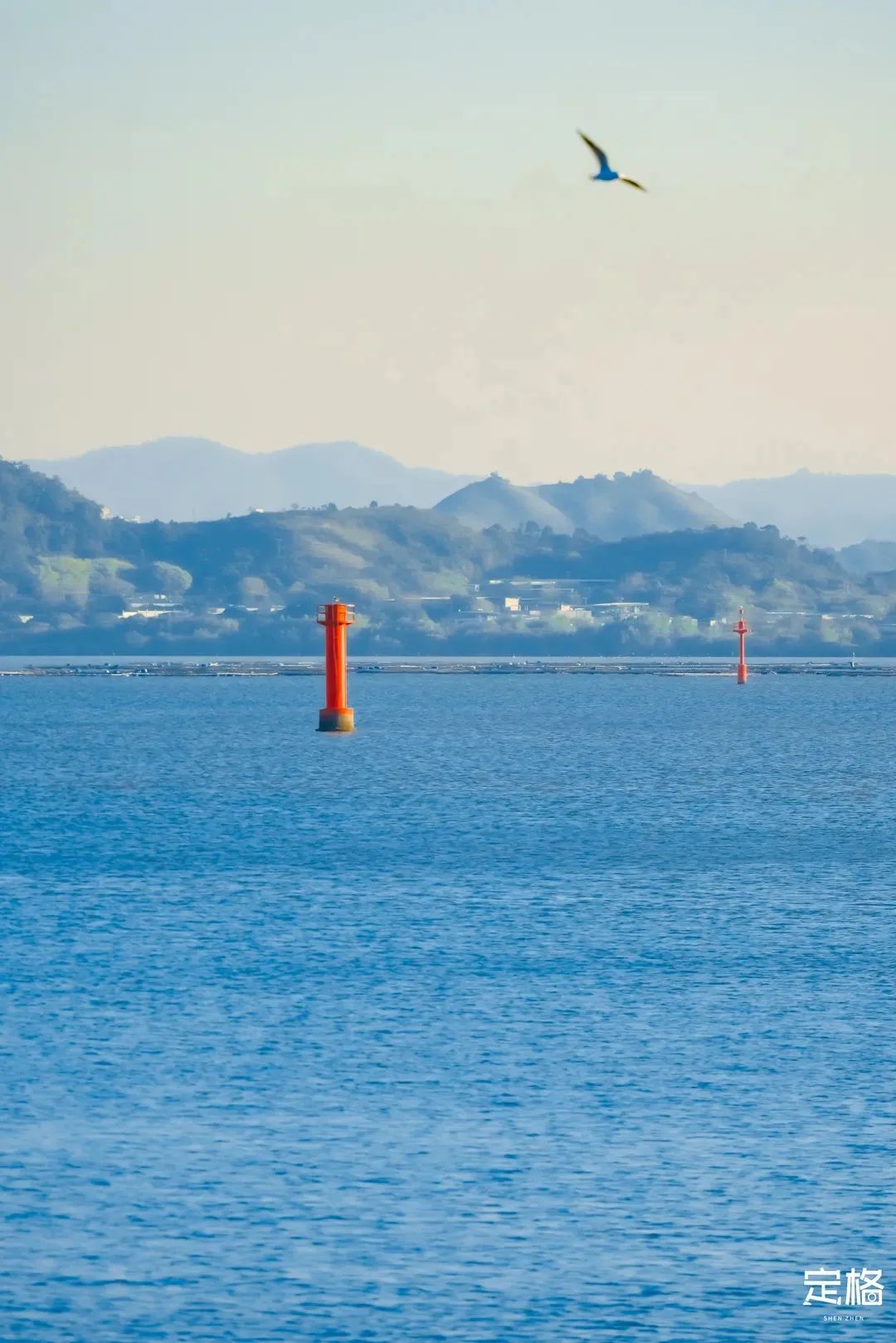 深圳免费露营的公园推荐,深圳22个露营公园