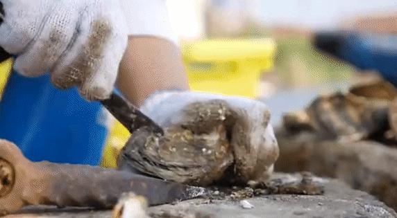 这座海滨小城可真美丽,小众旅行海边小城市