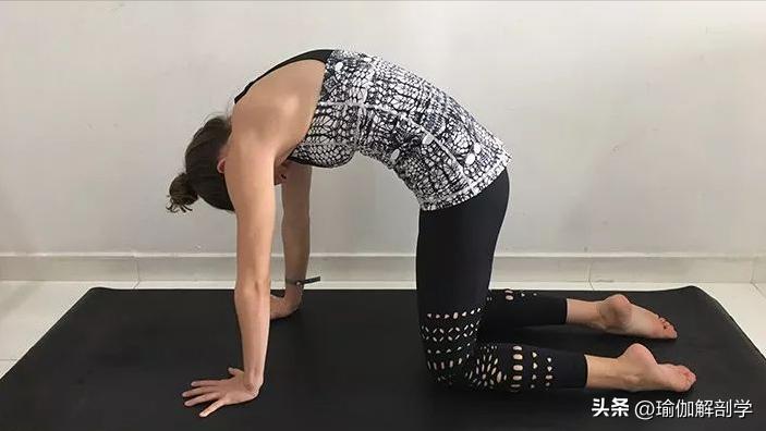 循序渐进的瑜伽扭转序列12分钟,一套简单实用的瑜伽序列