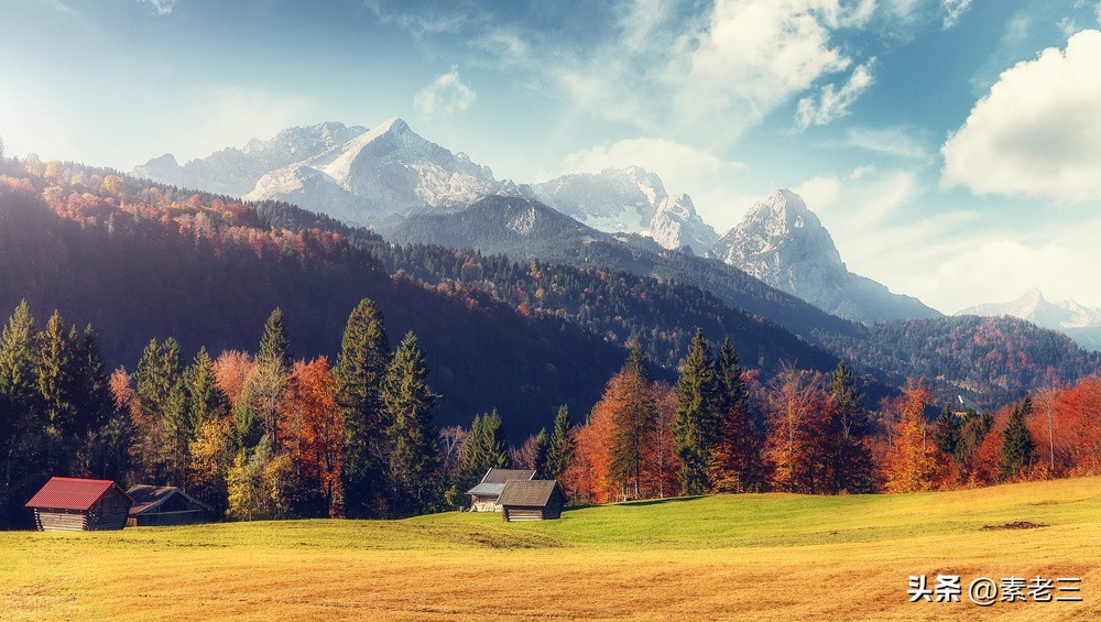 女作家去做保姆474,女作家去做保姆583