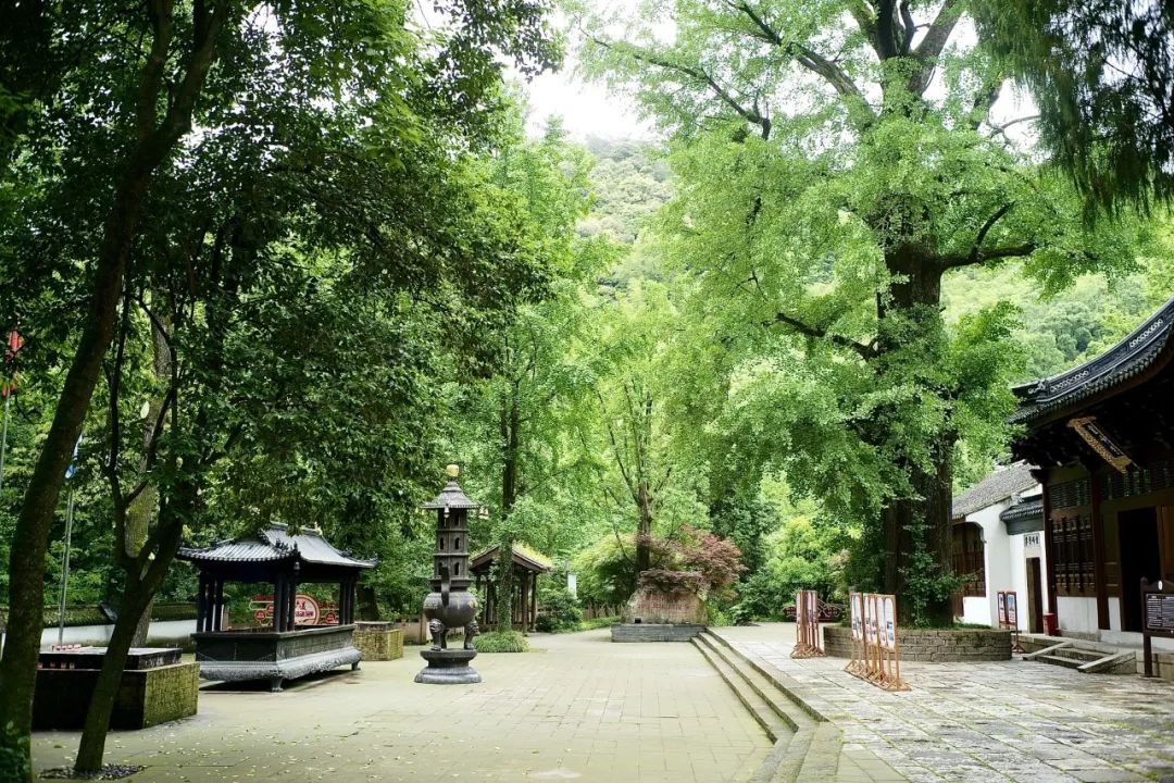 浙江市区度假酒店推荐,浙江轻奢酒店值得推荐