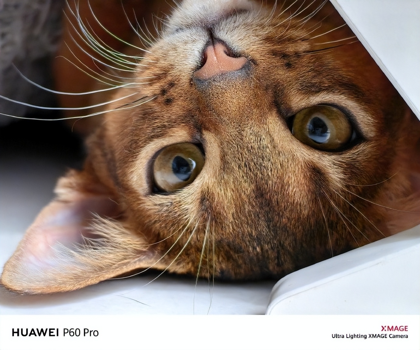 华为p60与苹果14promax谁值得买,华为p60pro12gb512gb和苹果14pro