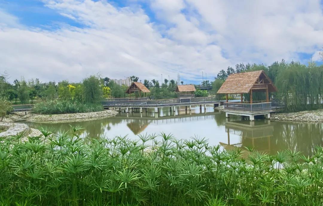 古今有名的十五首咏柳诗词,描写春柳的古诗有哪些