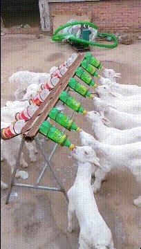 地铁遇到最美的阿姨抖音,坐地铁遇到最漂亮的阿姨