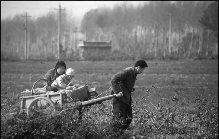 当今世界上最先进的自行车,自行车国内发展过程