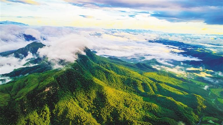 生态环境修复责任在实践中的问题,生态修复是美丽中国的重要途径