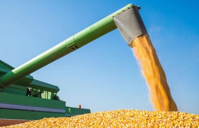 美国人想不明白,为何中国宁愿购买巴西玉米,也要抛弃美国玉米?