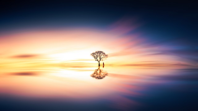 世上的这一半和另一半——摘（2）